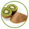 پودر میوه کیوی powder kiwi